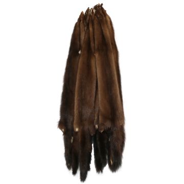 Mink Pelt, Wild - Male