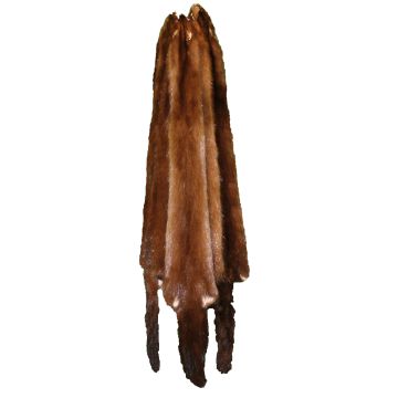 Wild Mink Pelt - Female