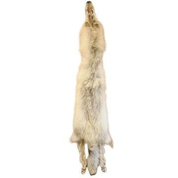 Wolf Pelt #05645