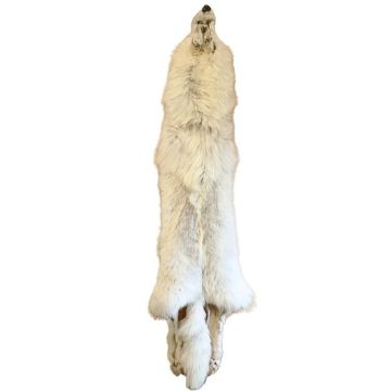 Premium Label Wolf Pelt #05905