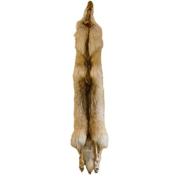 Wolf Pelt #12205