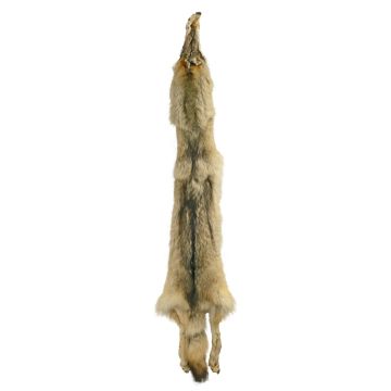 Premium Label Wolf Pelt #13503