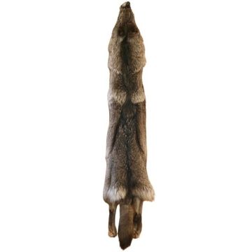 Wolf Pelt #15764