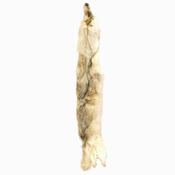 Premium Label Wolf Pelt #23402