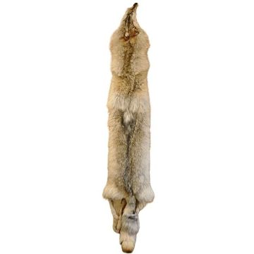 Wolf Pelt #23575
