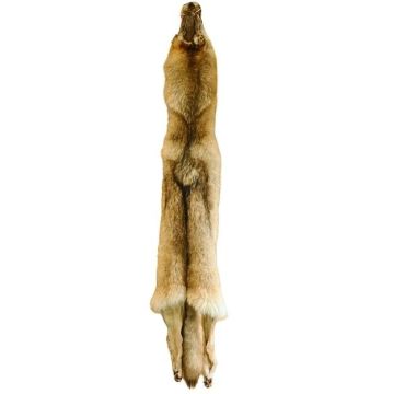 Wolf Pelt #23666