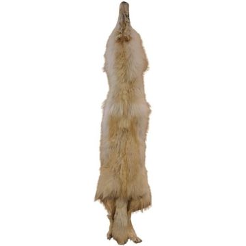 Wolf Pelt #25205