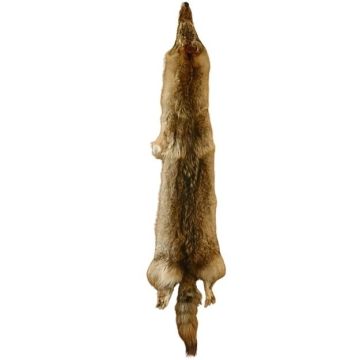 Wolf Pelt #31005