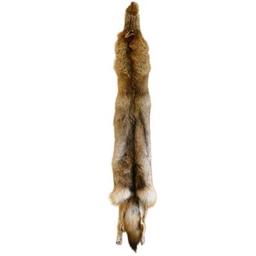 Wolf Pelt #32455