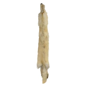Premium Label Wolf Pelt #34412
