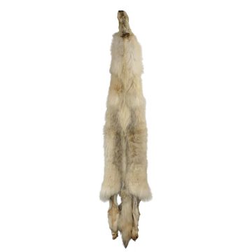 Premium Label Wolf Pelt #34423