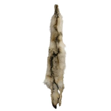 Wolf Pelt #34433