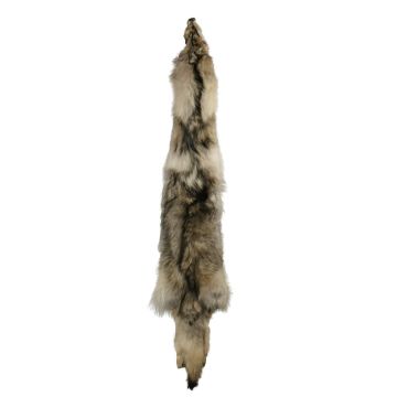 Wolf Pelt #34443