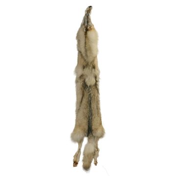 Premium Label Wolf Pelt #34653