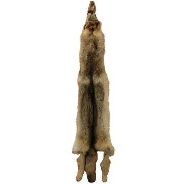 Wolf Pelt #36025