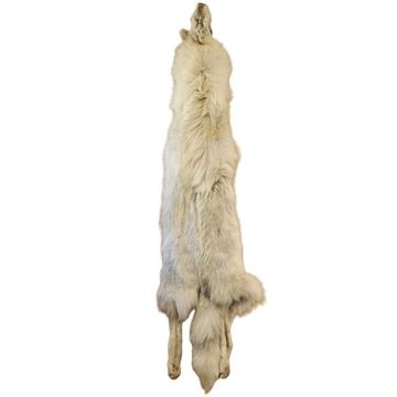 Wolf Pelt #36155