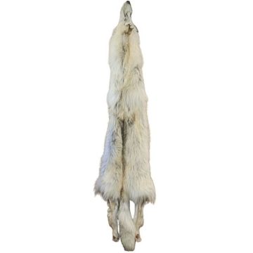 Wolf Pelt #36165