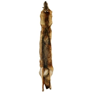 Wolf Pelt #41756