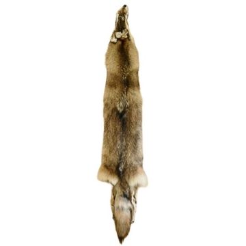 Wolf Pelt #42205