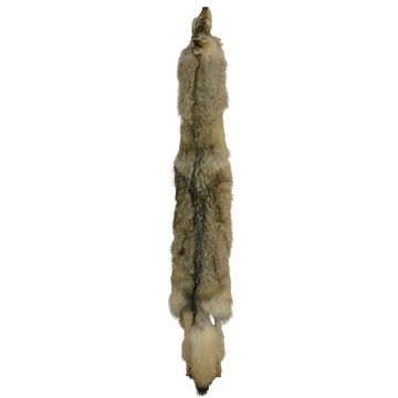 Wolf Pelt #53362