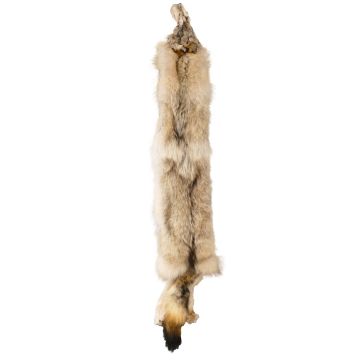 Wolf Pelt #44003