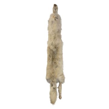 Wolf Pelt #44012