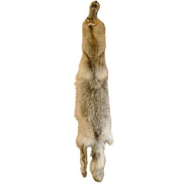 Wolf Pelt #44055