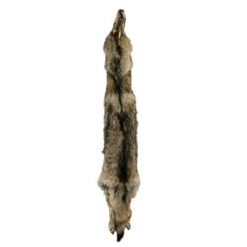 Wolf Pelt #44442