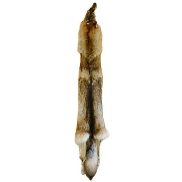Wolf Pelt #52205