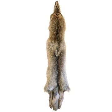 Wolf Pelt #52264