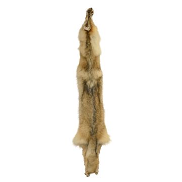 Wolf Pelt #53423