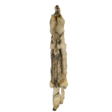 Premium Label Wolf Pelt #53913