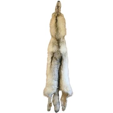 Wolf Pelt #54015