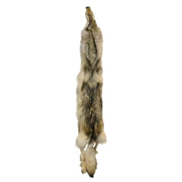 Premium Label Wolf Pelt #54432