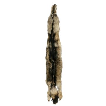 Wolf Pelt #54452