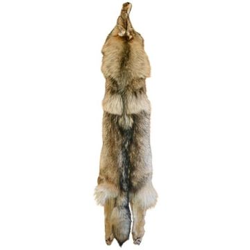 Wolf Pelt #55165