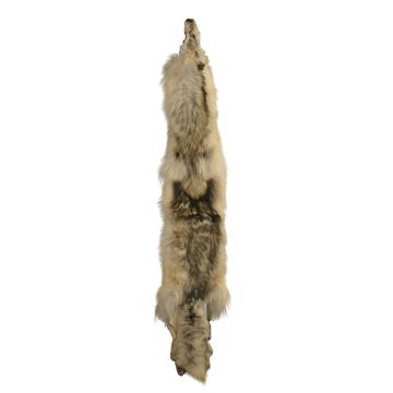 Premium Label Wolf Pelt #604423