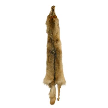 Wolf Pelt #63433