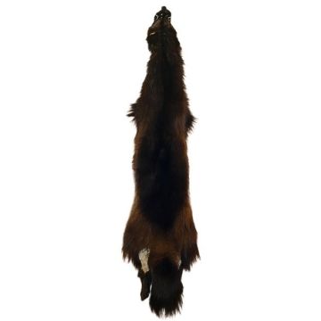 Wolverine Pelt #65085