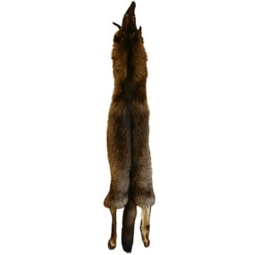 Wolf Pelt #66535