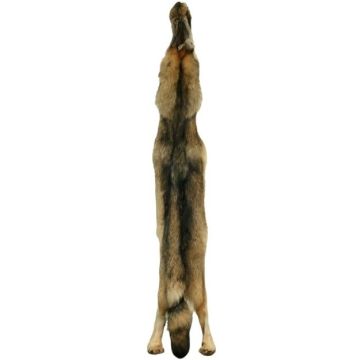 Wolf Pelt #73114