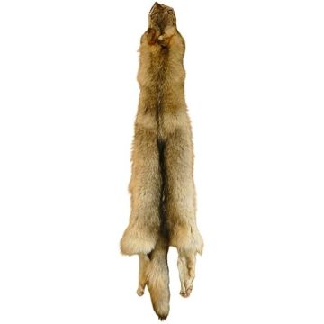 Wolf Pelt #73635