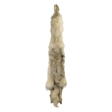 Premium Label Wolf Pelt #74472