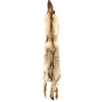 Wolf Pelt #74602