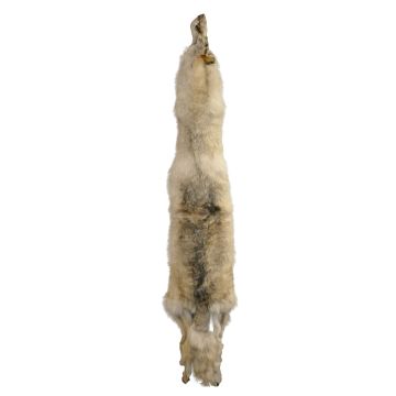 Premium Label Wolf Pelt #74652