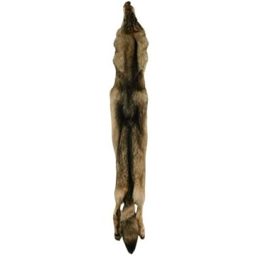 Wolf Pelt #83754