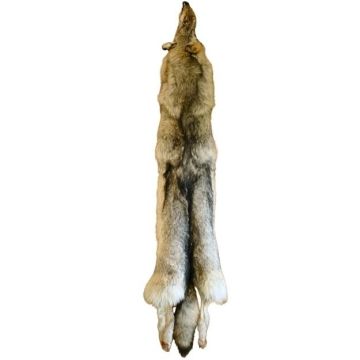 Wolf Pelt #86175