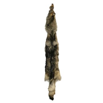 Premium Label Wolf Pelt #94352