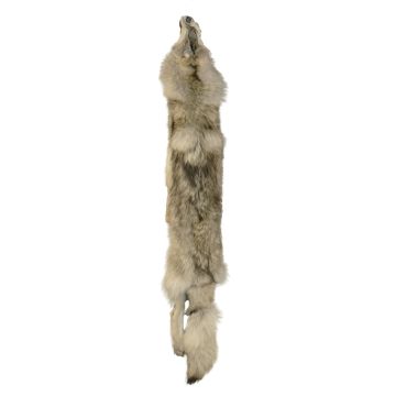 Premium Label Wolf Pelt #95012