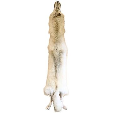 Premium Label Wolf Pelt #95355